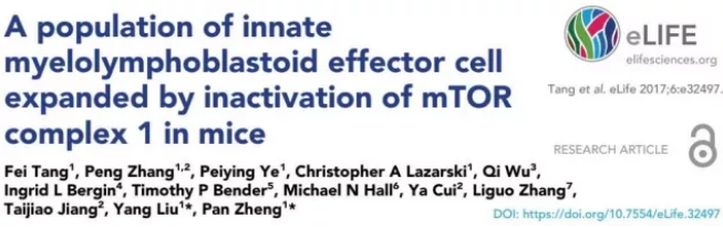 CC网投·(中国游)官方网站