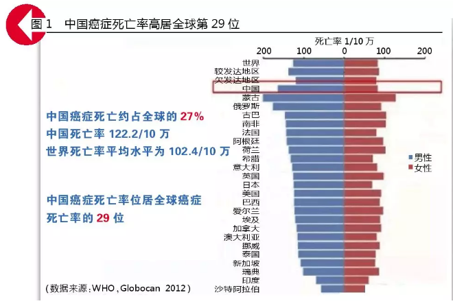 CC网投·(中国游)官方网站