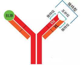 CC网投·(中国游)官方网站