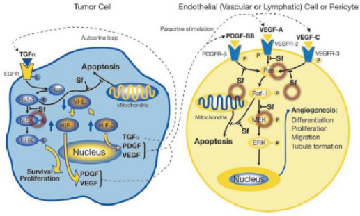CC网投·(中国游)官方网站