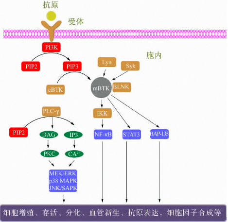CC网投·(中国游)官方网站