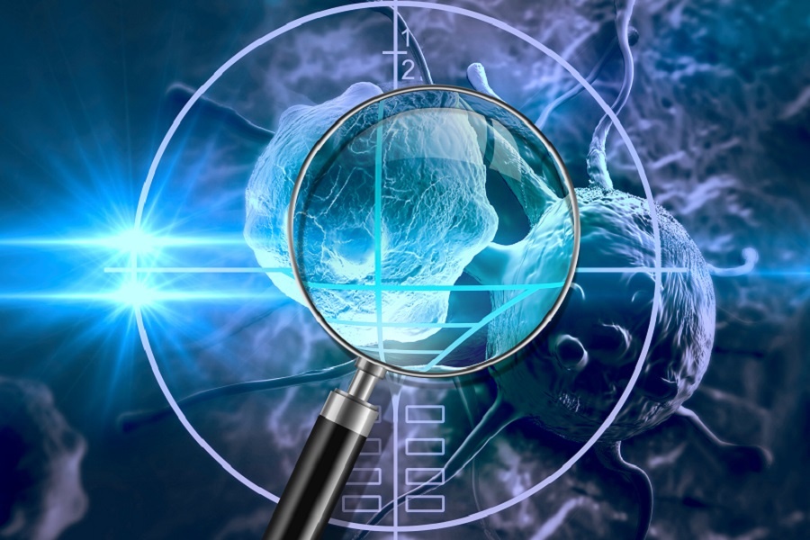 CC网投·(中国游)官方网站