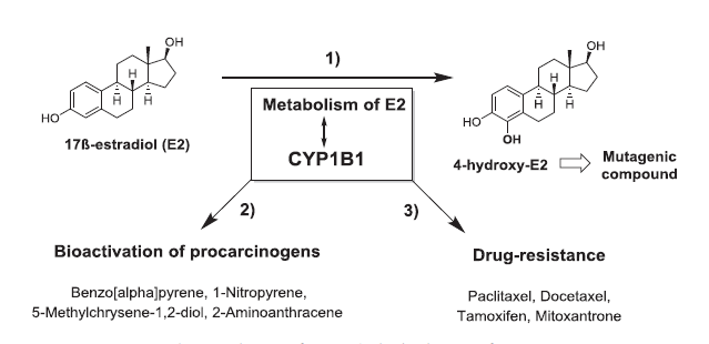 CC网投·(中国游)官方网站