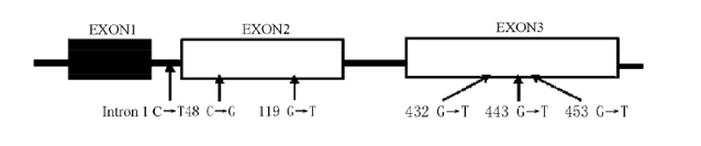 CC网投·(中国游)官方网站