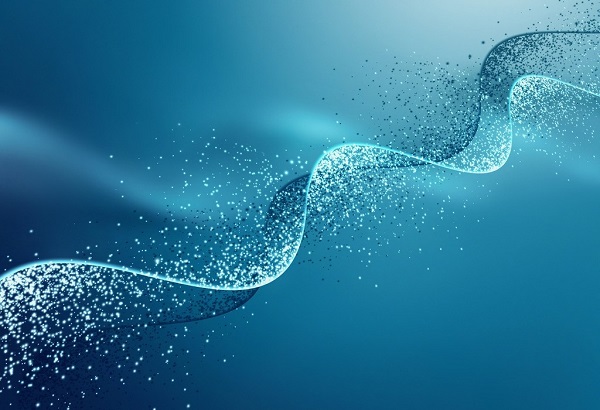 CC网投·(中国游)官方网站