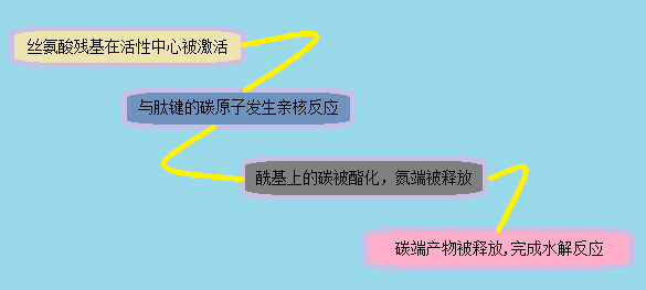 CC网投·(中国游)官方网站