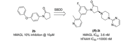 CC网投·(中国游)官方网站