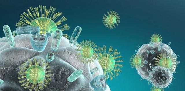 CC网投·(中国游)官方网站