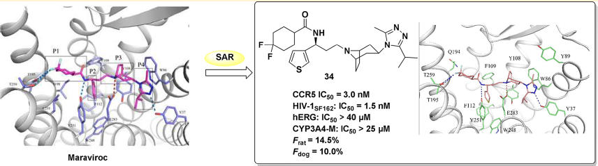 CC网投·(中国游)官方网站