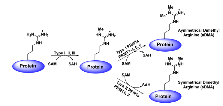 CC网投·(中国游)官方网站