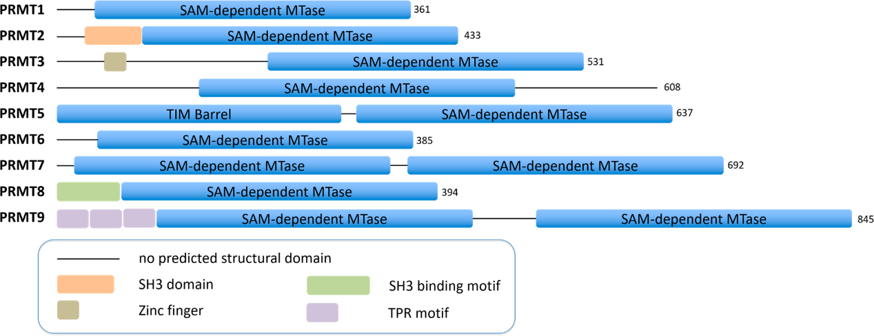 CC网投·(中国游)官方网站