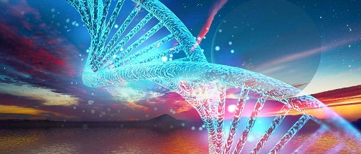 CC网投·(中国游)官方网站