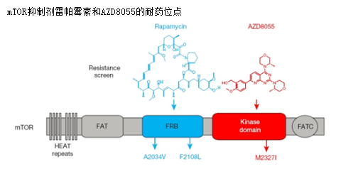 CC网投·(中国游)官方网站