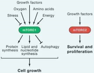 CC网投·(中国游)官方网站