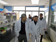 CC网投开展办公场合节前清静卫生大检查