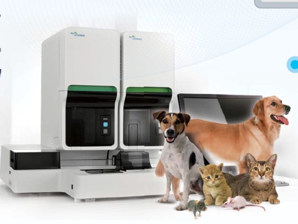 CC网投·(中国游)官方网站