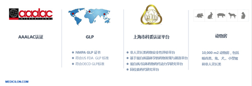 CC网投生物医药 临床前研究