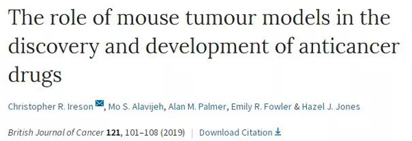 临床前小鼠模子怎样。。？？？？