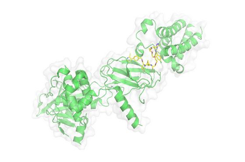 PROTAC手艺，，，，，马兴泉