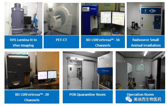 CC网投药理部拥有IVIS Lumina III, PET-CT, BD LSRFortessa-16, Flow Cytometry等仪器，，，，，提供切合申报，，，，，支持临床试验的药效评价效劳。。。。