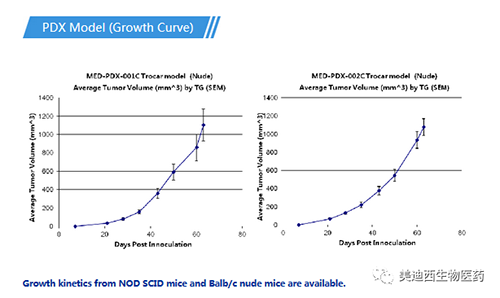 CC网投PDX药效模子
