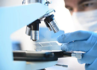 CC网投代谢产品判断(MetlD)效劳平台