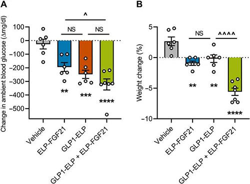 GLP-1和FGF21配合治疗增强了单药治疗的血糖降低和体重增添抑制作用 CC网投