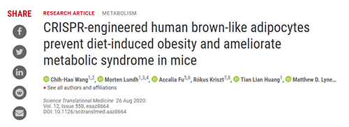 Science|聚焦CRISPR：刷新脂肪细胞，，，，，“躺瘦”可能要成真了？？？？？