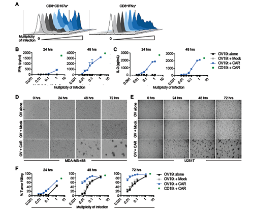 CC网投·(中国游)官方网站