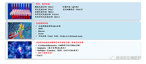 CC网投生物手艺药物剖析部效劳内容