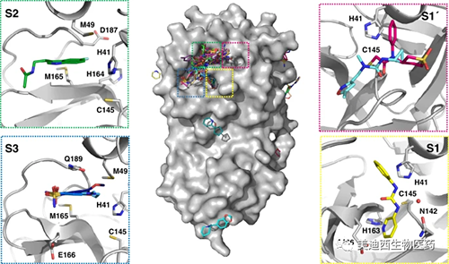 连系的片断对运动位点举行了周全采样