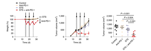 与比照组及仅使用PD-1疗法的模子小鼠比照，，，，，接纳短期饥饿配合PD-1疗法的393P细胞同源移植肿瘤小鼠体内的肿瘤体积有了显着的缩短。。