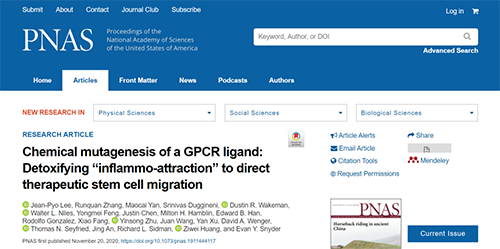 天下首创：药物将干细胞指导至受损部位，，，，，提高其愈合能力！