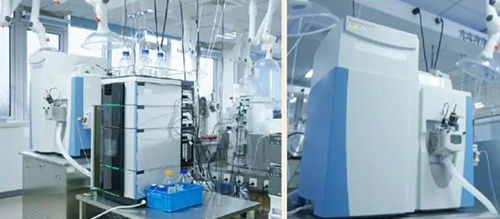 CC网投DMPK剖析效劳