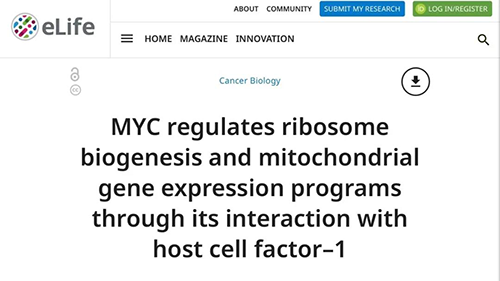 可以“融化”肿瘤的卵白质，，，，，你一定没有听说过！