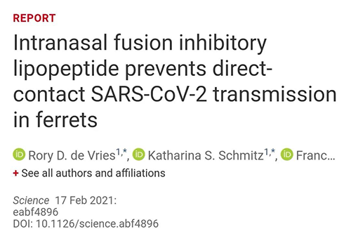Science速递|鼻喷雾剂可阻止新冠肺炎撒播，，，，，在雪貂实验中已初获效果