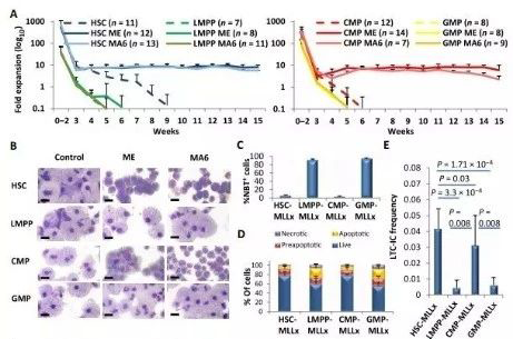 Science子刊：一种FDA批准的抗腹泻药物可有用对抗化疗的耐药性 CC网投生物医药
