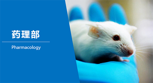 CC网投临床前研究-药理部