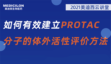 【云课堂】：怎样有用建设PROTAC分子的体外活性评价要领？？
