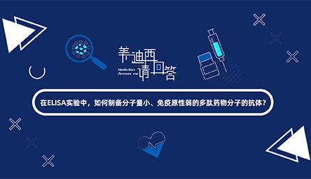 在ELISA实验，，，，怎样制备分子量小、免疫原性弱的多肽药物分子的抗体？？