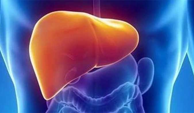 【CC网投助力】NASH领域新希望！海普丁HPD001即将在美启动临床试验