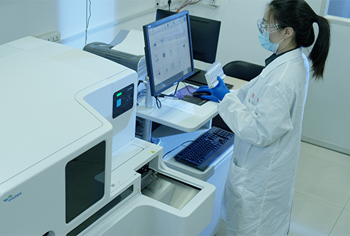 CC网投一体化DMPK效劳为药物研发保驾护航