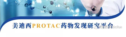 CC网投PROTAC药物发明平台.png