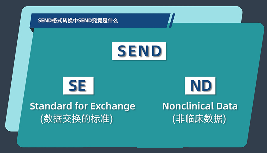 SEND名堂转换中的SEND事实是什么？？？
