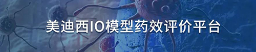 CC网投IO模子药效评价平台.jpg