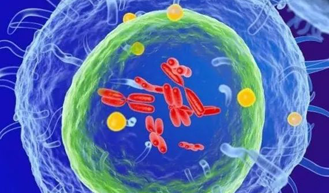  CC网投助力 | 信诺维抗肿瘤1类新药XNW14010获批临床.png