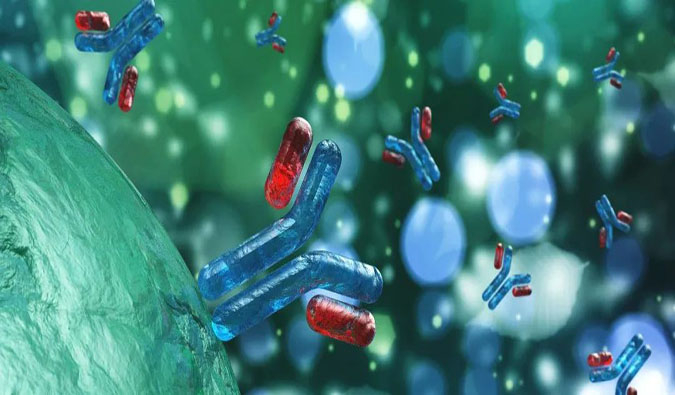 ADC药物解读（三）| 一文剖析ADC药物研举事点