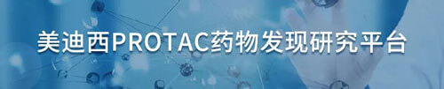 CC网投protac药物发明研究平台.jpg