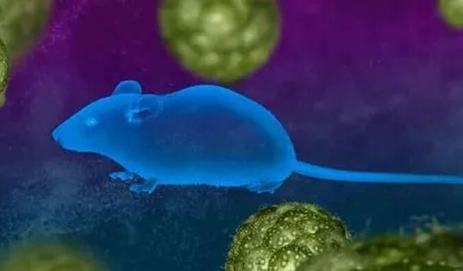 CC网投药效效劳赋能First-in-Class泛素化抑制剂研发