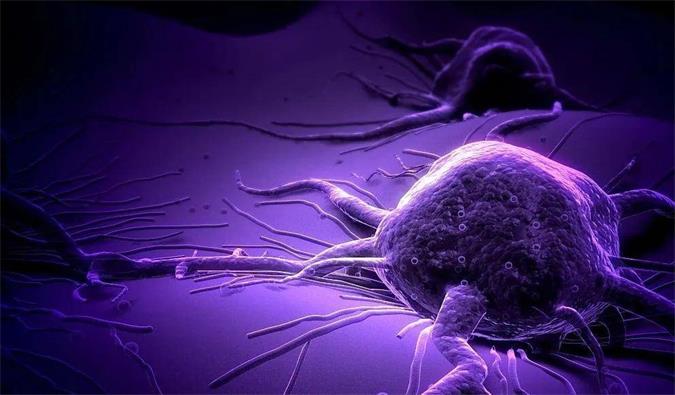 CC网投助力轩竹生物研发的完全敲除岩藻糖的双抗ADC药物KM501获批临床